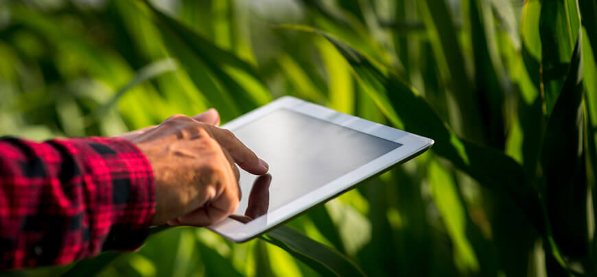 SEGUNDA REFORMA AGRARIA